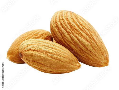 Isolated Three Almonds photo