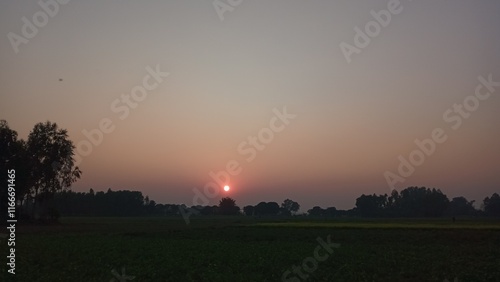 sunrise over the field