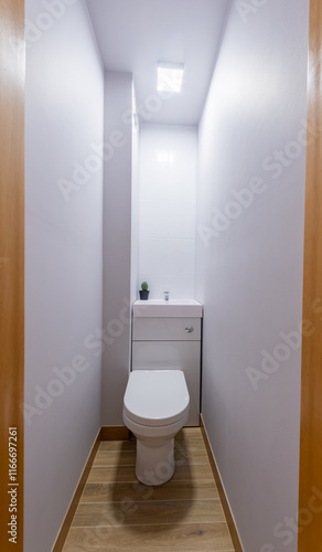 Modern Minimalist Home Bathroom with Compact Toilet and Wooden Flooring. Interior