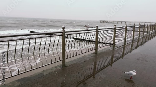 Seagull Perched on Railing by the Ocean During a Cloudy Day Near the Shore