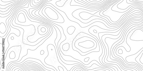 Abstract Blank Detailed Topographic Contour Map Subtle White Vector Background, Topography map art curve drawing. geographic contour map paper texture,paper texture Imitation of a geographical map sha