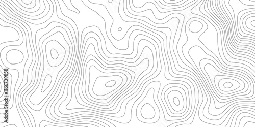 Abstract Blank Detailed Topographic Contour Map Subtle White Vector Background, Topography map art curve drawing. geographic contour map paper texture,paper texture Imitation of a geographical map sha