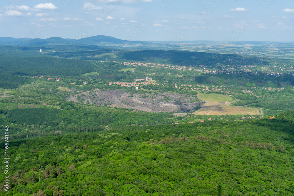 Fototapeta premium looking down at the forest from high up