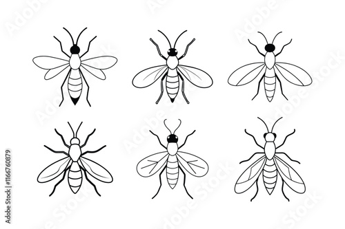 Sawfly (Tenthredinidae) insect design, labeled line art vector illustration.