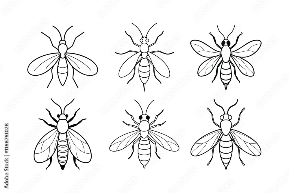 Fototapeta premium Sawfly (Tenthredinidae) insect design, labeled line art vector illustration.