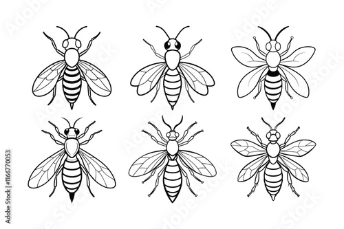 Gall Wasp (Cynipidae) insect design, labeled line art vector illustration.