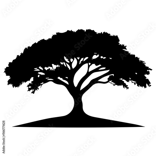 Silhouette of Tree: Free Images for Personal and Commercial Use