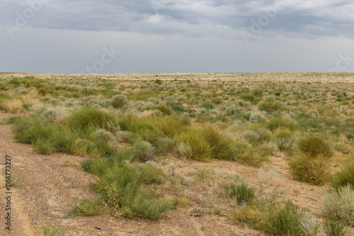 Vast landscape of Kazakhstan featuring sparse vegetation under a cloudy sky photo