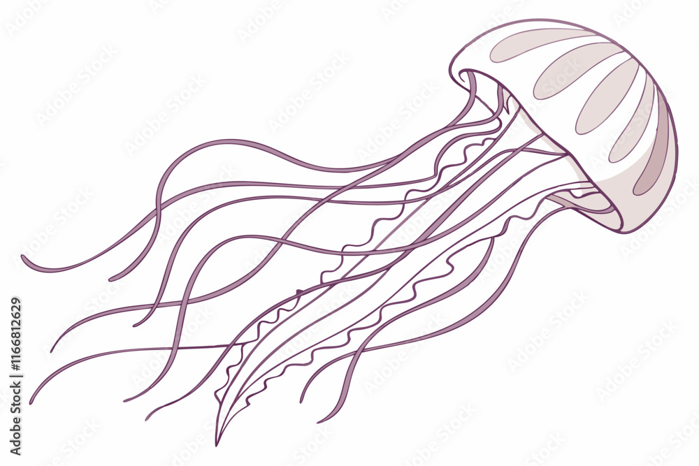 illustration of a jellyfish illustration of a jellyfish