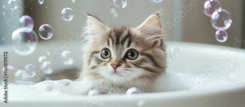 Playful British kitten relaxing in a minimalist bathtub amidst soft soap bubbles ideal for pet lovers and modern interior decor inspiration photo