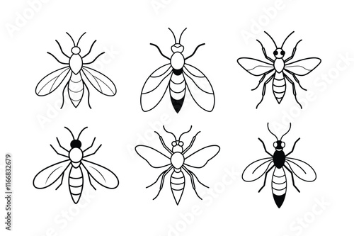 Trichogramma Wasp (Trichogrammatidae) insect design, labeled line art vector illustration.