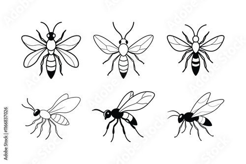 Ensign Wasp (Evaniidae) insect design, labeled line art vector illustration.