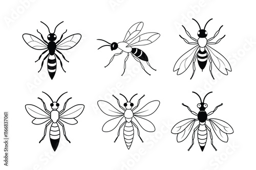 Ensign Wasp (Evaniidae) insect design, labeled line art vector illustration.