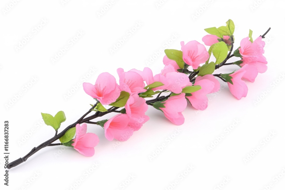 Beautiful Pink Flowers on a Branch with Green Leaves Isolated on White Background Beautiful Pink Flowers on a Branch with Green Leaves Isolated on White Background