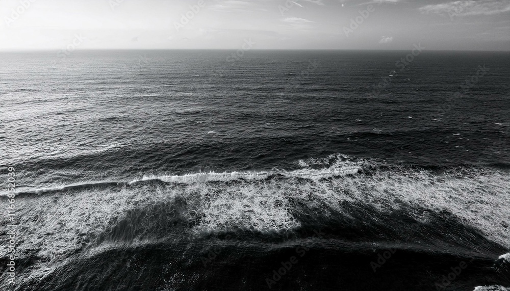 Fototapeta premium Monochromatic Ocean Horizon: Vast Ocean Horizon: Serene Black and White Seascape