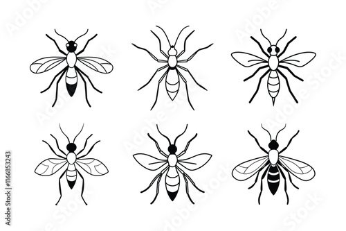 Spider Wasp (Pompilidae) insect design, labeled line art vector illustration.