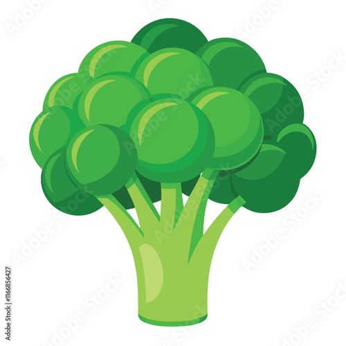 Green Broccoli Isolated on White Background with Nature and Plant Elements