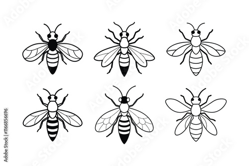 Cicada Killer Wasp (Sphecius speciosus) insect design, labeled line art vector illustration.