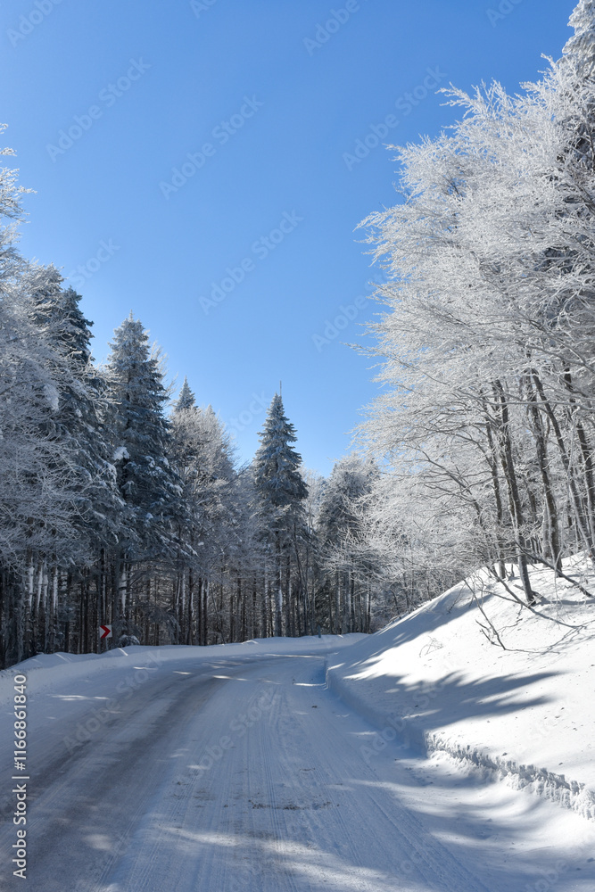 winter landscape with snow at uludag, bursa winter landscape with snow at uludag, bursa
