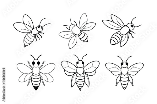 Leafcutter Bee (Megachilidae) insect design, labeled line art vector illustration.