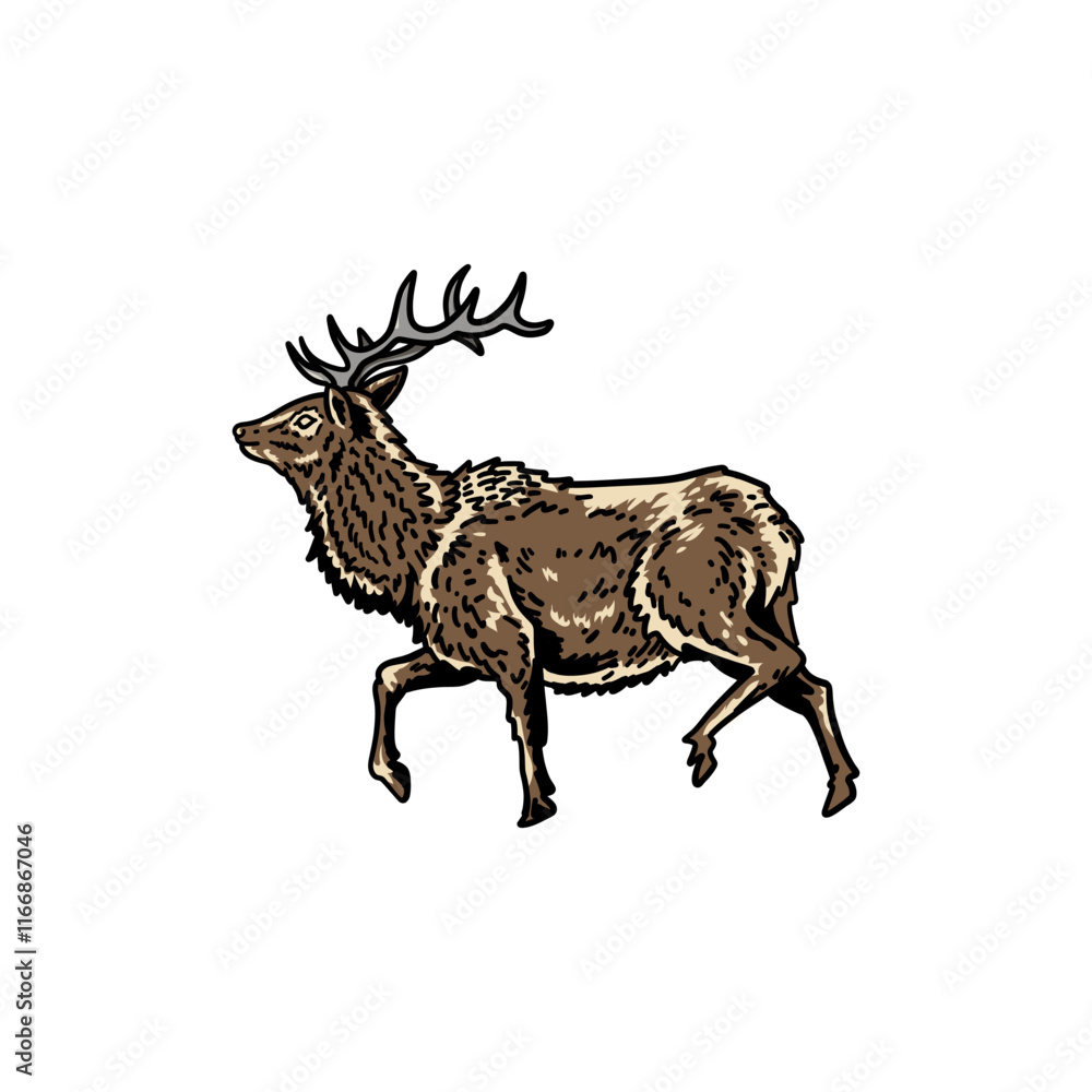 Fototapeta premium illustration vector graphic deer for design, template, elemen, illustration, etc