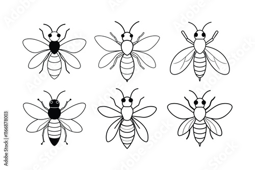 Mining Bee (Andrenidae) insect design, labeled line art vector illustration.