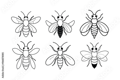 Mining Bee (Andrenidae) insect design, labeled line art vector illustration.