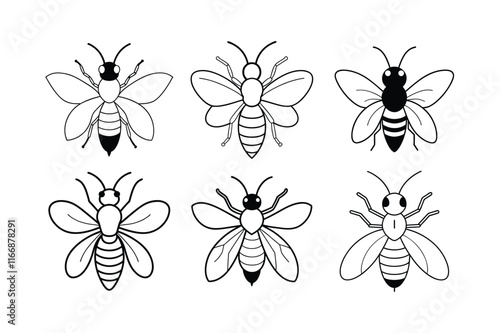Mining Bee (Andrenidae) insect design, labeled line art vector illustration.