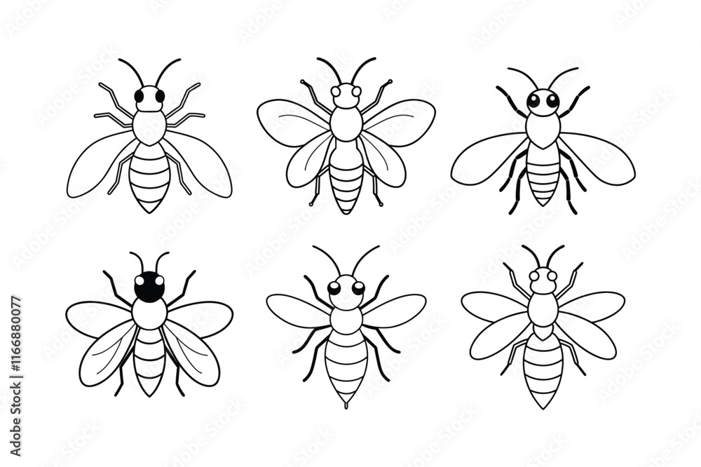 Sweat Bee (Halictidae) insect design, labeled line art vector illustration. Sweat Bee (Halictidae) insect design, labeled line art vector illustration.