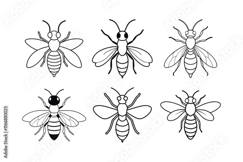 Sweat Bee (Halictidae) insect design, labeled line art vector illustration.
