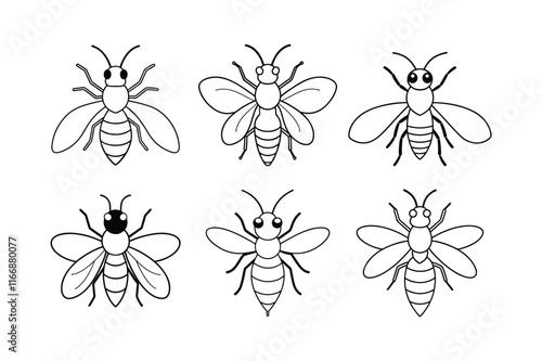 Sweat Bee (Halictidae) insect design, labeled line art vector illustration. photo