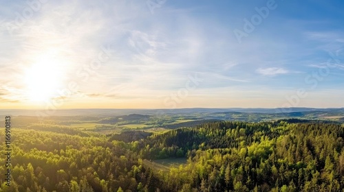 Beautiful sunshine in the forest