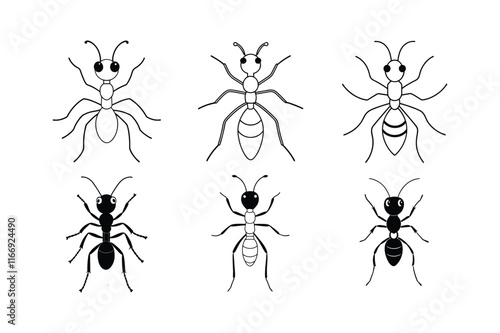 Fire Ant (Solenopsis) insect design, labeled line art vector illustration.