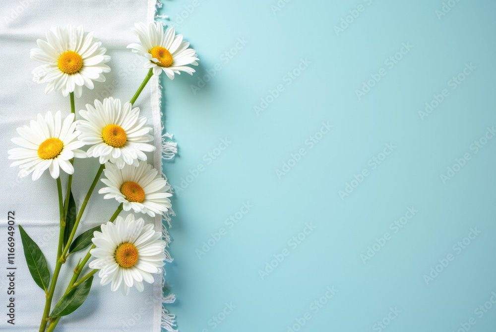 Three white daisies with yellow centers on a light blue background. Three white daisies with yellow centers on a light blue background.