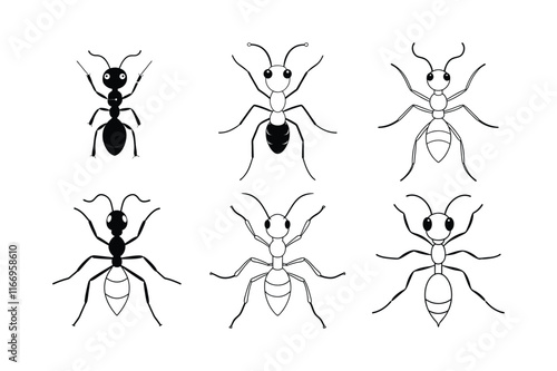 Harvester Ant (Pogonomyrmex) design, labeled line art vector illustration.