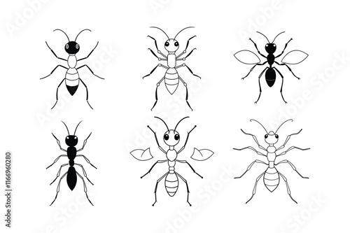 Leafcutter Ant (Attini) insect design, labeled line art vector illustration.