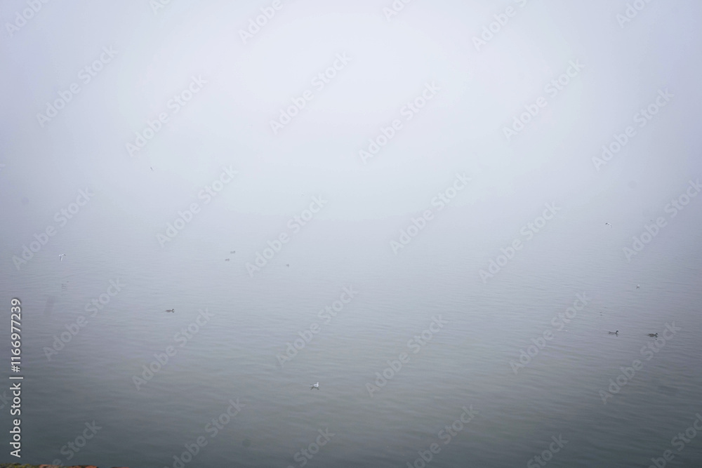 Foggy morning on the coast of Danube Novi Sad Serbia