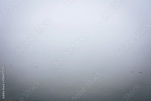 Foggy morning on the coast of Danube Novi Sad Serbia