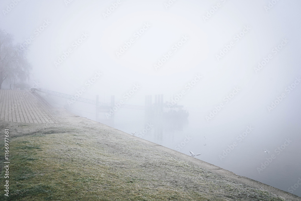Foggy morning on the coast of Danube Novi Sad Serbia