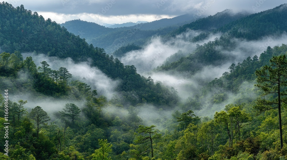 Misty mountain landscape with lush green forests and rolling hills. Misty mountain landscape with lush green forests and rolling hills.
