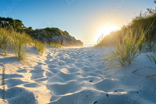 The sandy beach of Whangamata, New Zealand, with grasses and rock formations in the background under a clear blue sky at sunset. The golden light reflects on the sand dunes. A wide-angle shot capturin