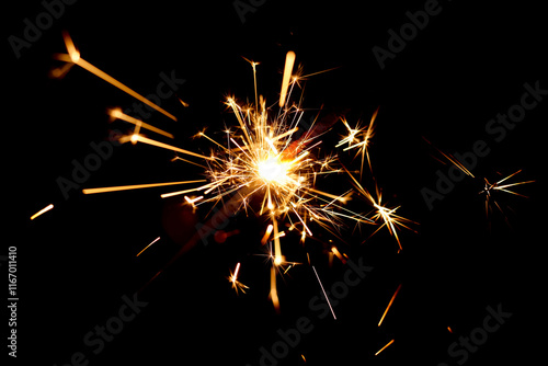 Wallpaper Mural sparkler on a black background, close-up, selective focus	 Torontodigital.ca