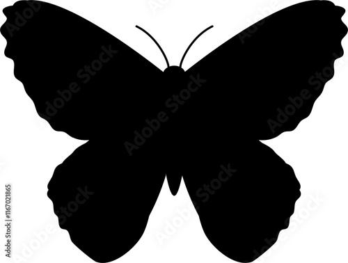 Butterfly silhouette 