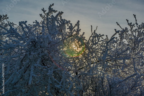 Ein sonniger Neujahrstag auf dem Bogenberg photo