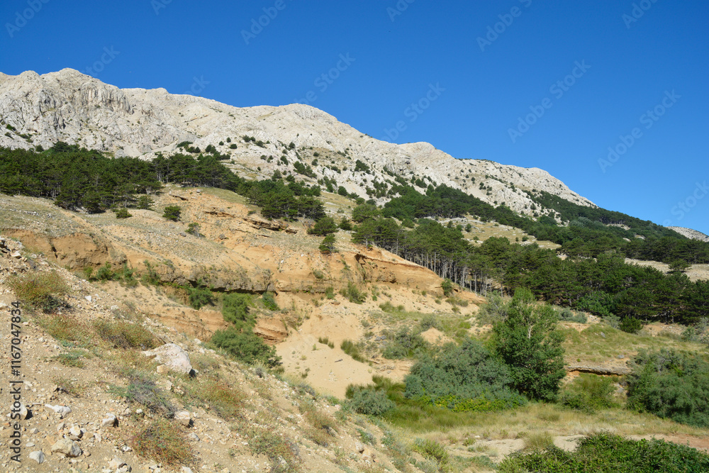 Zarok sandy area at the western side of Baska bay on island Krk, Croatia Zarok sandy area at the western side of Baska bay on island Krk, Croatia