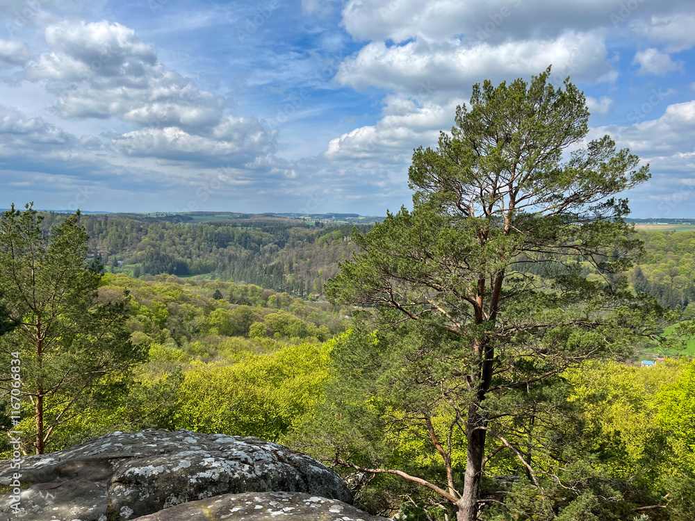 Obraz premium Panoramic view of mountains and trees under blue sky with clouds in the Mullerthal region, Luxembourg.