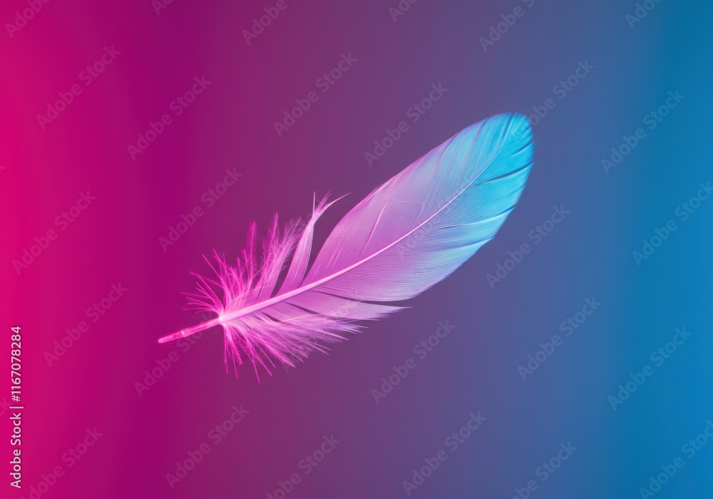 Bright pink feathers on a reflective surface illuminated by vibrant blue and pink lights Bright pink feathers on a reflective surface illuminated by vibrant blue and pink lights