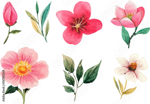 Wallpaper Mural collection of flowers Torontodigital.ca