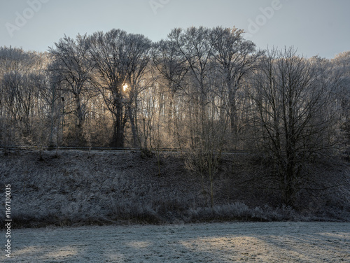 Frost-Kissed TreesIn A Serene Winter Landscape: A Delicate Dance Of Ice And Nature In Soft Morning Light photo