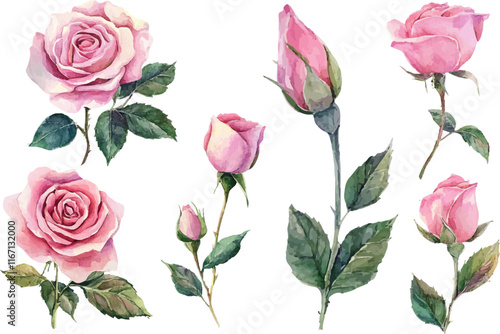 seamless pattern with pink roses